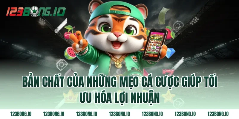 Bản Chất Của Những Mẹo Cá Cược Giúp Tối Ưu Hóa Lợi Nhuận