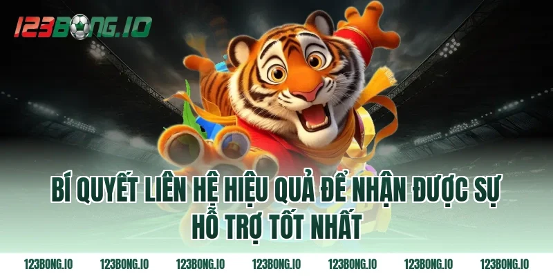 Bí Quyết Liên Hệ Hiệu Quả Để Nhận Được Sự Hỗ Trợ Tốt Nhất