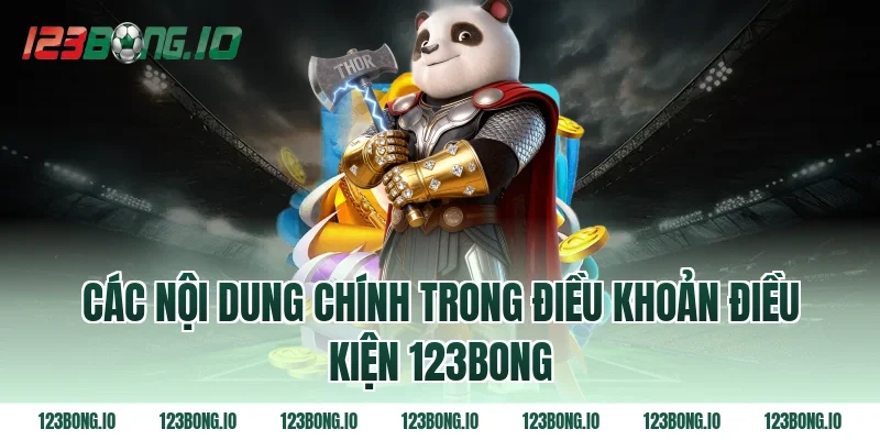 Các nội dung chính trong điều khoản điều kiện 123bong