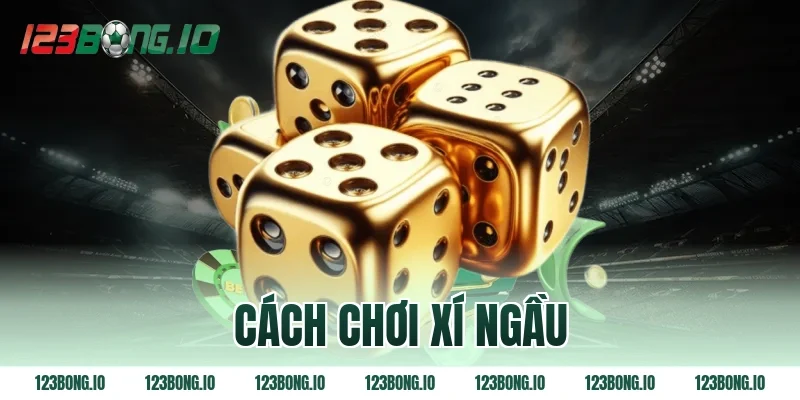 Cách chơi xí ngầu