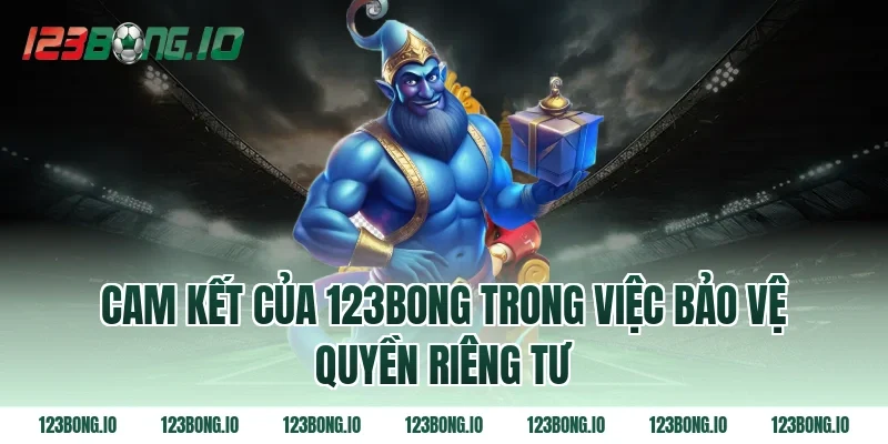 Cam kết của 123bong trong việc bảo vệ quyền riêng tư