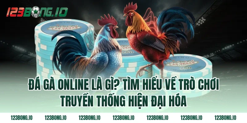Đá gà online là gì? Tìm hiểu về trò chơi truyền thống hiện đại hóa