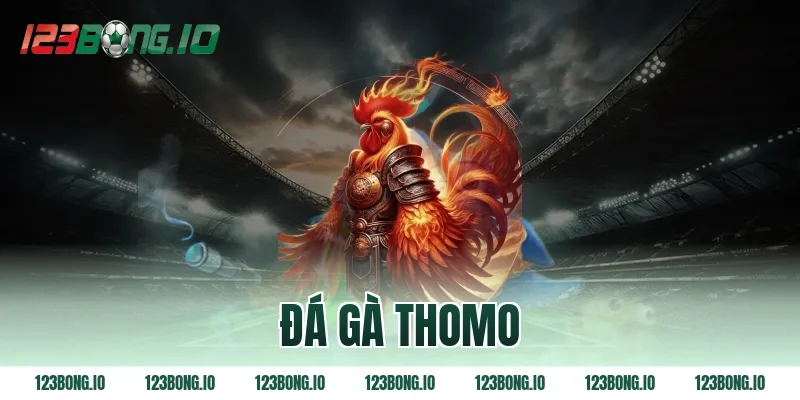 đá gà thomo