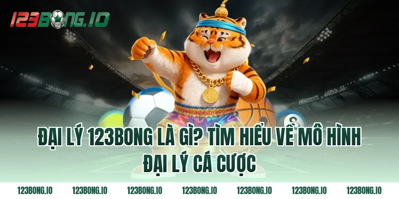 Đại lý 123bong là gì? Tìm hiểu về mô hình đại lý cá cược