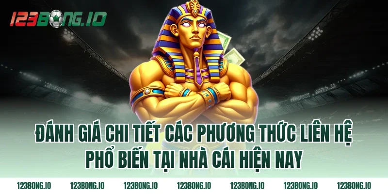 Đánh Giá Chi Tiết Các Phương Thức Liên Hệ Phổ Biến Tại Nhà Cái Hiện Nay