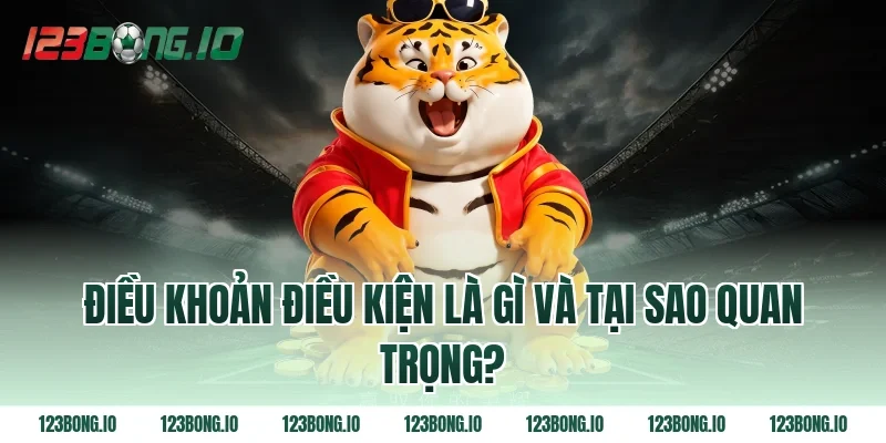 Điều khoản điều kiện là gì và tại sao quan trọng?