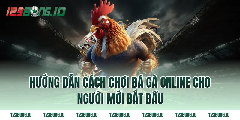 Hướng dẫn cách chơi đá gà online cho người mới bắt đầu