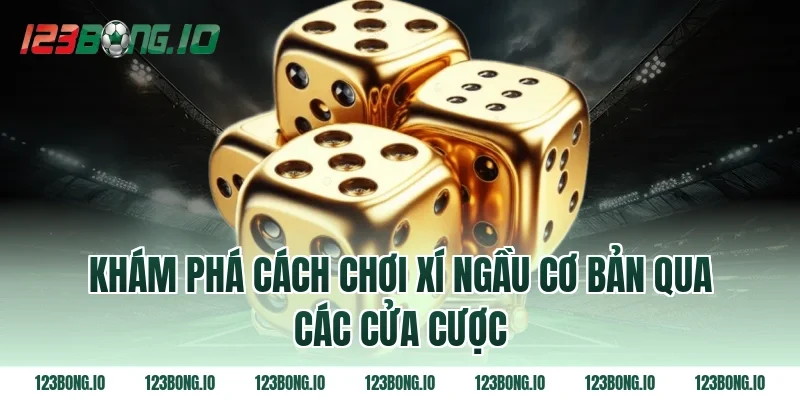 Khám Phá Cách Chơi Xí Ngầu Cơ Bản Qua Các Cửa Cược
