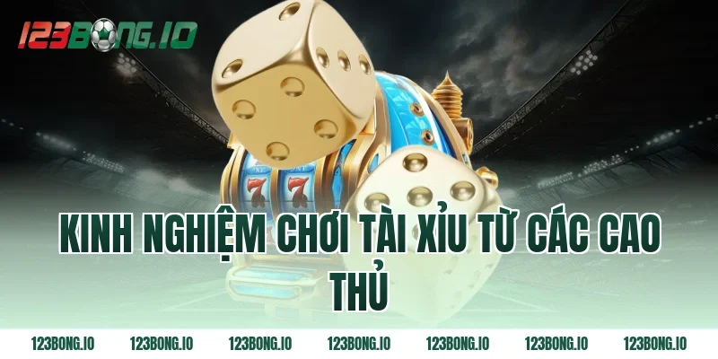 Kinh nghiệm chơi tài xỉu từ các cao thủ