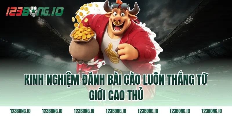 Kinh nghiệm đánh bài cào luôn thắng từ giới cao thủ