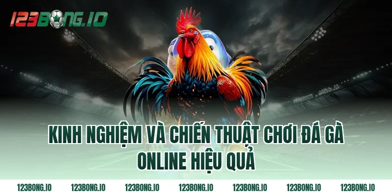 Kinh nghiệm và chiến thuật chơi đá gà online hiệu quả