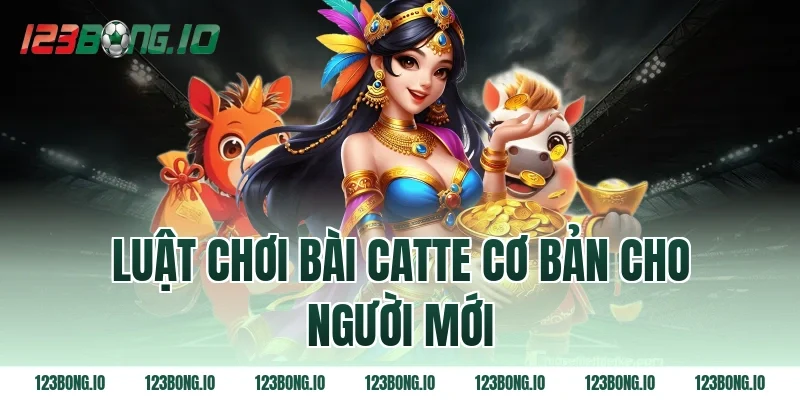 Luật chơi bài catte cơ bản cho người mới
