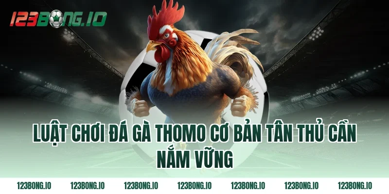 Luật chơi đá gà thomo cơ bản tân thủ cần nắm vững