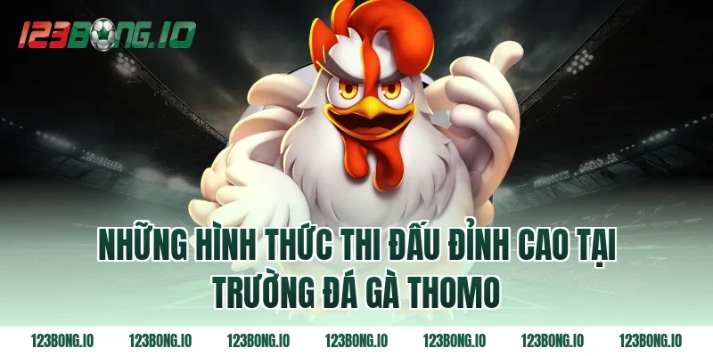 Những hình thức thi đấu đỉnh cao tại trường đá gà thomo