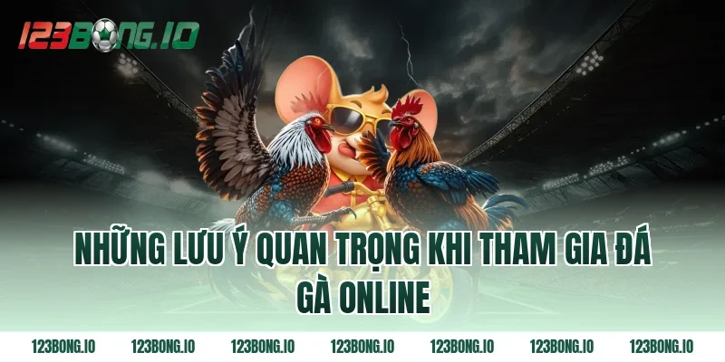 Những lưu ý quan trọng khi tham gia đá gà online