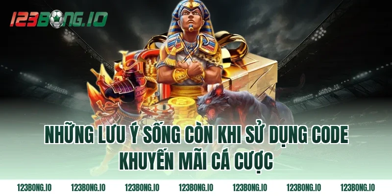 Những lưu ý sống còn khi sử dụng code khuyến mãi cá cược