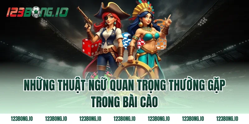 Những thuật ngữ quan trọng thường gặp trong bài cào