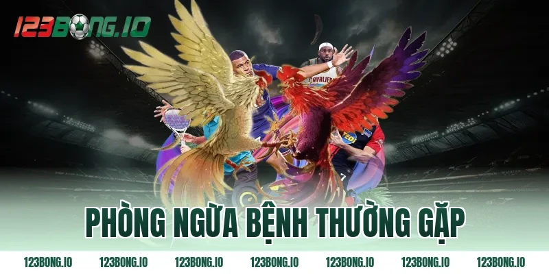 Phòng ngừa bệnh thường gặp