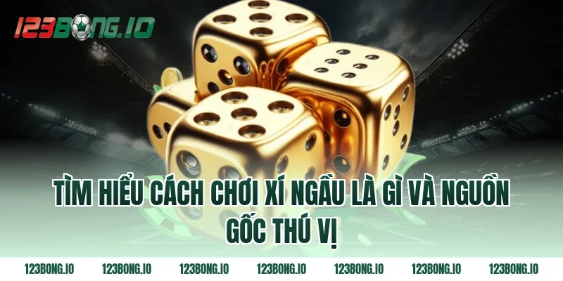 Tìm Hiểu Cách Chơi Xí Ngầu Là Gì Và Nguồn Gốc Thú Vị