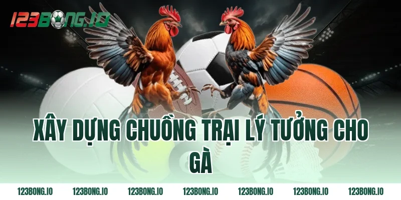 Xây dựng chuồng trại lý tưởng cho gà