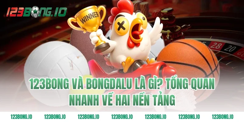 123Bong Và Bongdalu Là Gì? Tổng Quan Nhanh Về Hai Nền Tảng