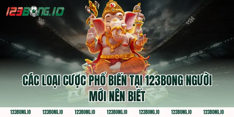 Các Loại Cược Phổ Biến Tại 123Bong Người Mới Nên Biết