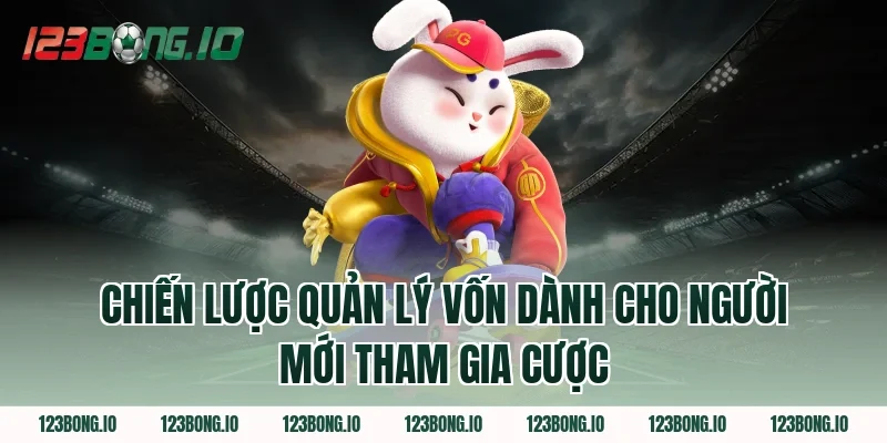 Chiến Lược Quản Lý Vốn Dành Cho Người Mới Tham Gia Cược
