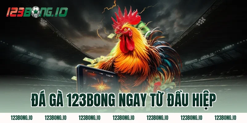 Đá gà 123Bong Ngay Từ Đầu Hiệp