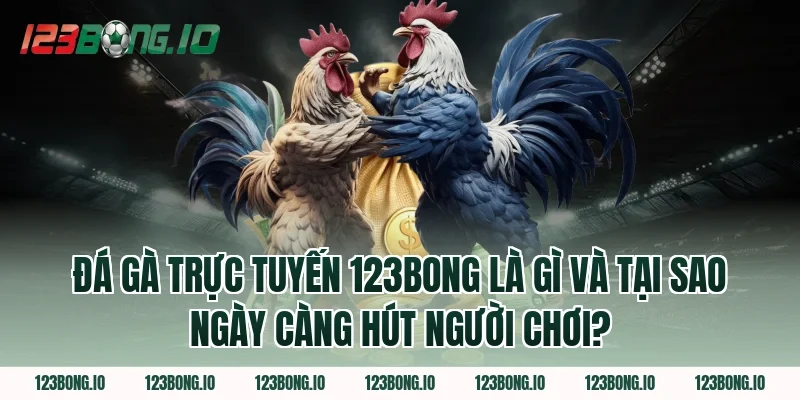 Đá Gà Trực Tuyến 123Bong Là Gì Và Tại Sao Ngày Càng Hút Người Chơi?