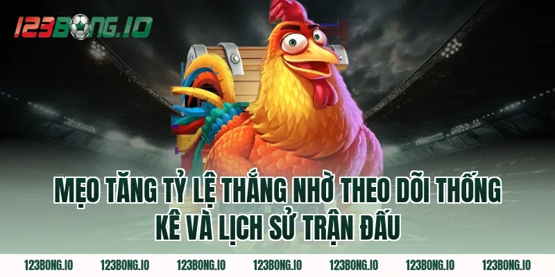 Mẹo Tăng Tỷ Lệ Thắng Nhờ Theo Dõi Thống Kê Và Lịch Sử Trận Đấu
