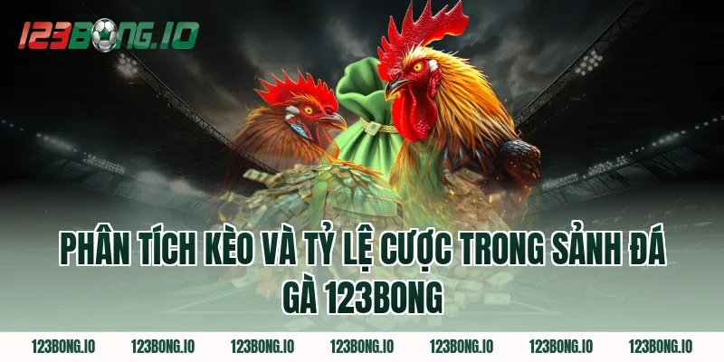 Phân Tích Kèo Và Tỷ Lệ Cược Trong Sảnh Đá Gà 123Bong