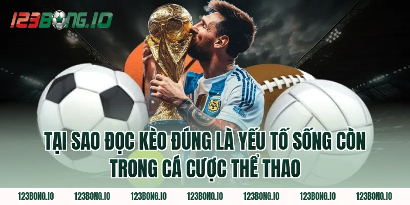 Tại Sao Đọc Kèo Đúng Là Yếu Tố Sống Còn Trong Cá Cược Thể Thao
